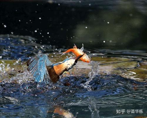 pg下载官方认证 CNN（卷积神经网络）是什么？有何入门简介或文章吗？