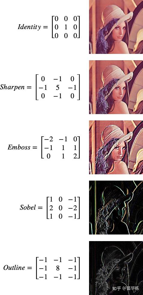 卷积在生活应用_仿生学_卷积神经网络原理