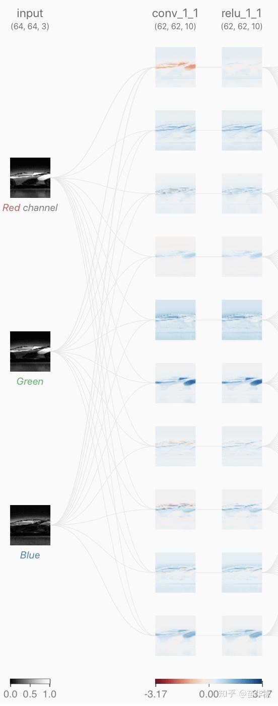 卷积在生活应用_卷积神经网络原理_仿生学