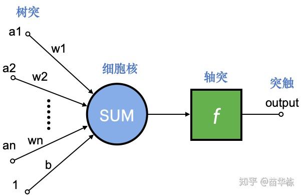 仿生学_卷积神经网络原理_卷积在生活应用