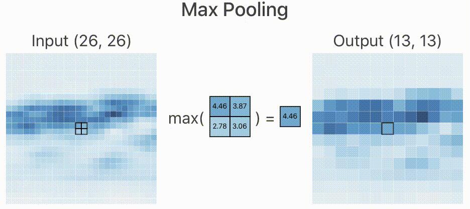 仿生学_卷积神经网络原理_卷积在生活应用