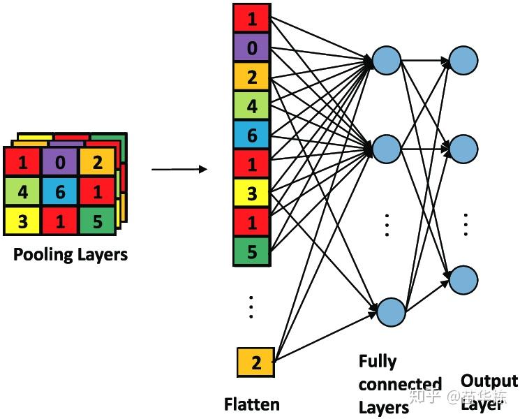 卷积在生活应用_卷积神经网络原理_仿生学