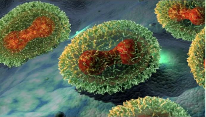 海关防止蒙古绵羊痘传入措施_人感染羊痘病毒的治疗_绵羊痘和山羊痘预防措施