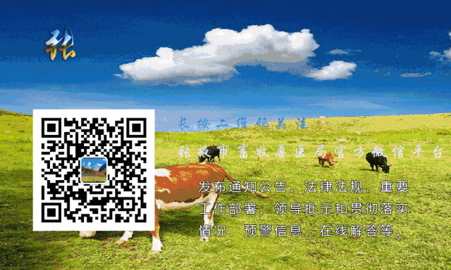 绵羊痘病毒山羊痘病毒流行特点_人感染羊痘病毒的治疗_绵羊痘山羊痘知识问答