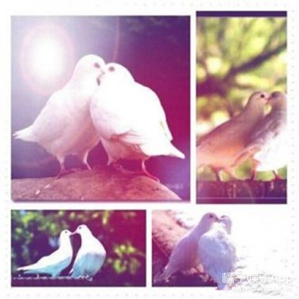 安卓表白神器_化学元素表白_情人节表白暗号