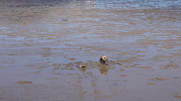 陷入淤泥自救方法_非牛顿流体特性_非牛顿流体生活应用