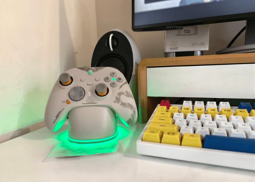 手柄品牌排名前十_游戏手柄选购指南_手柄玩格斗