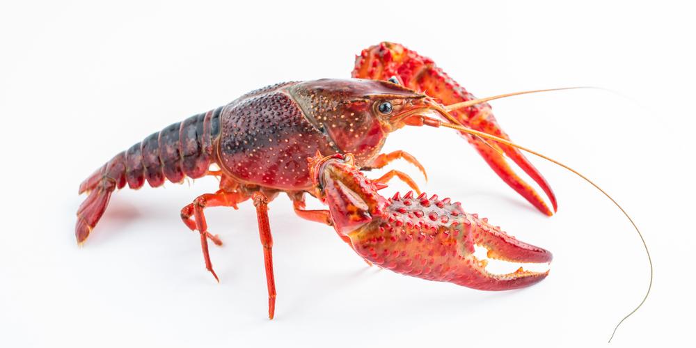 随机共振 传感器 噪声增强_声音传感器 生活应用