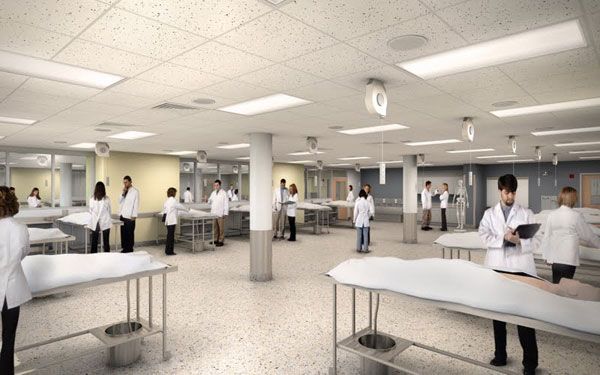 医学生解剖课日常_生活应用方面的知识_人体解剖学知识