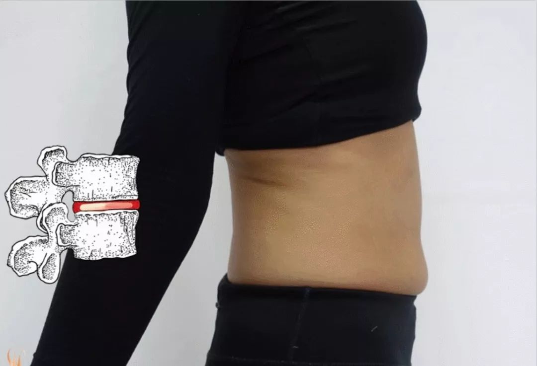 人体解剖学知识_医学生解剖课日常_生活应用方面的知识