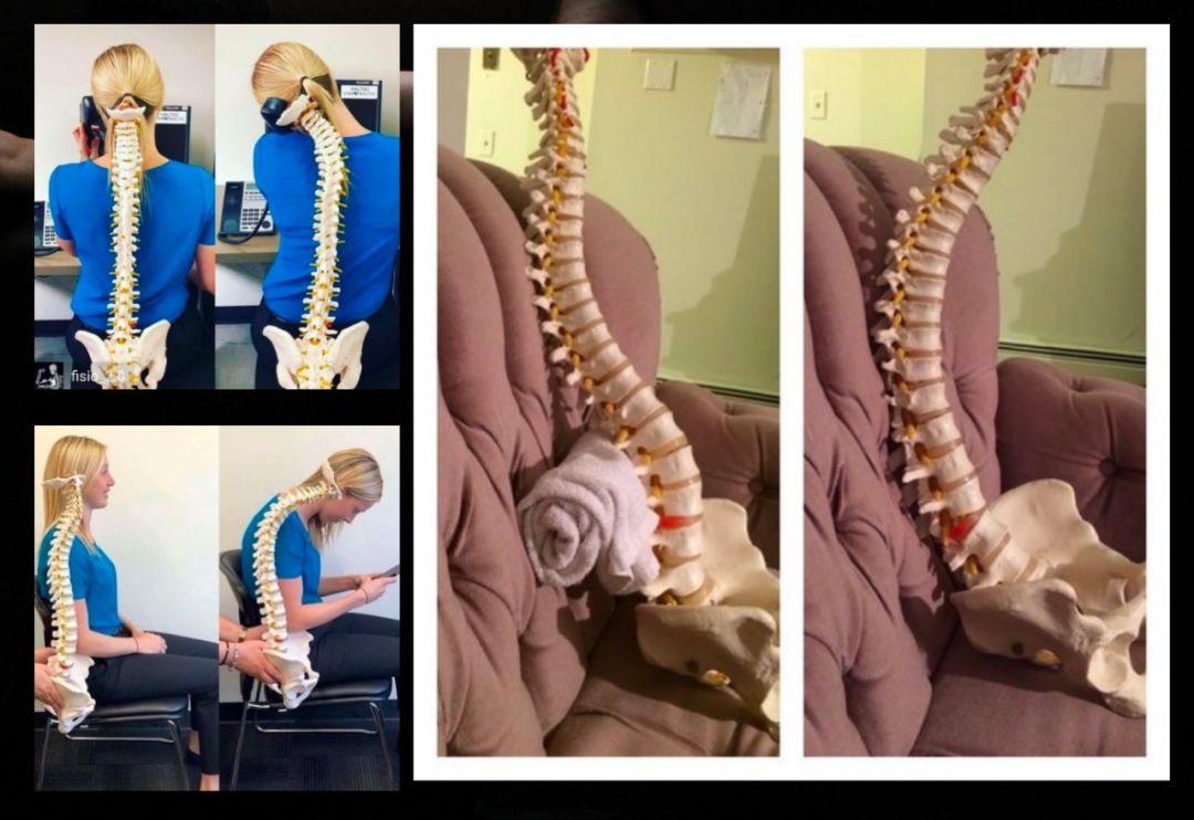 医学生解剖课日常_生活应用方面的知识_人体解剖学知识