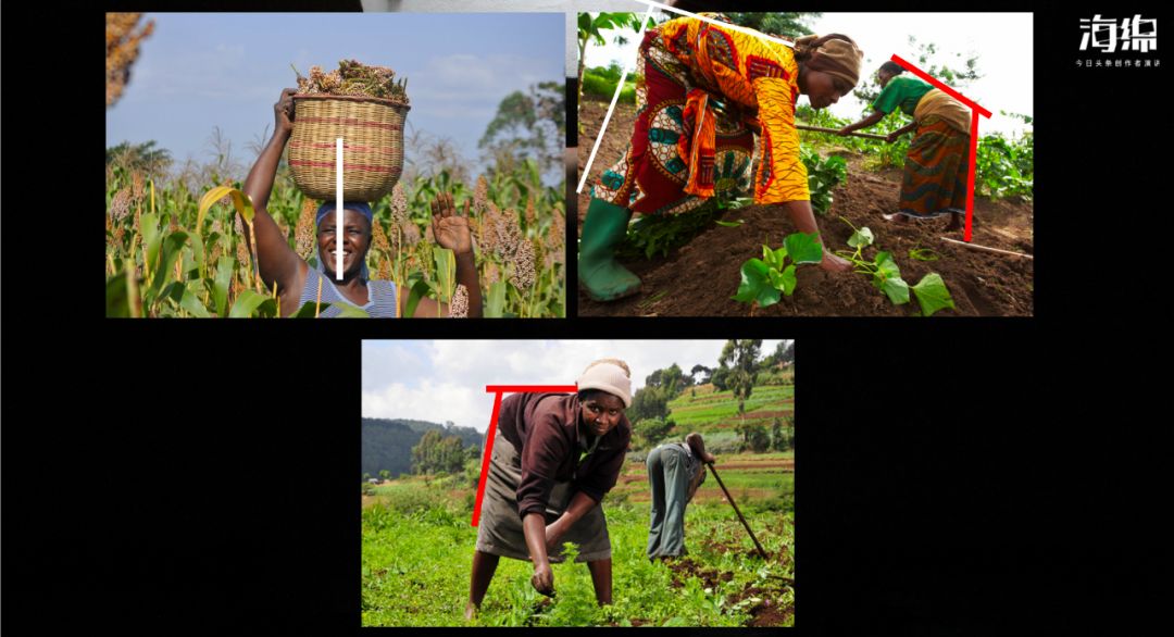 人体解剖学知识_医学生解剖课日常_生活应用方面的知识