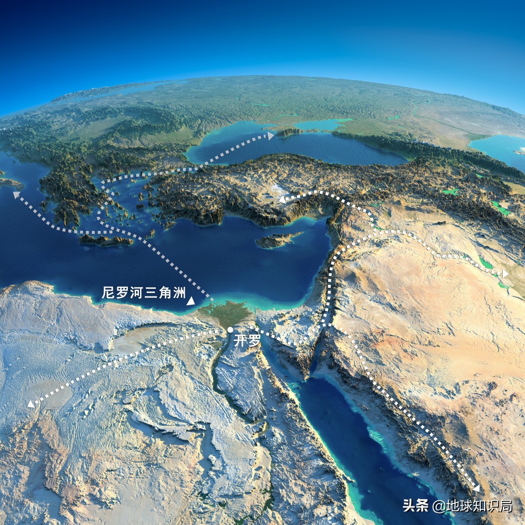 天花历史_牛痘病毒 天花病毒_中国古代免疫学