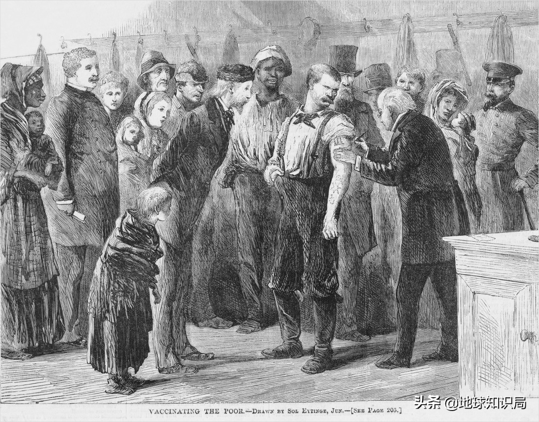 天花历史_中国古代免疫学_牛痘病毒 天花病毒