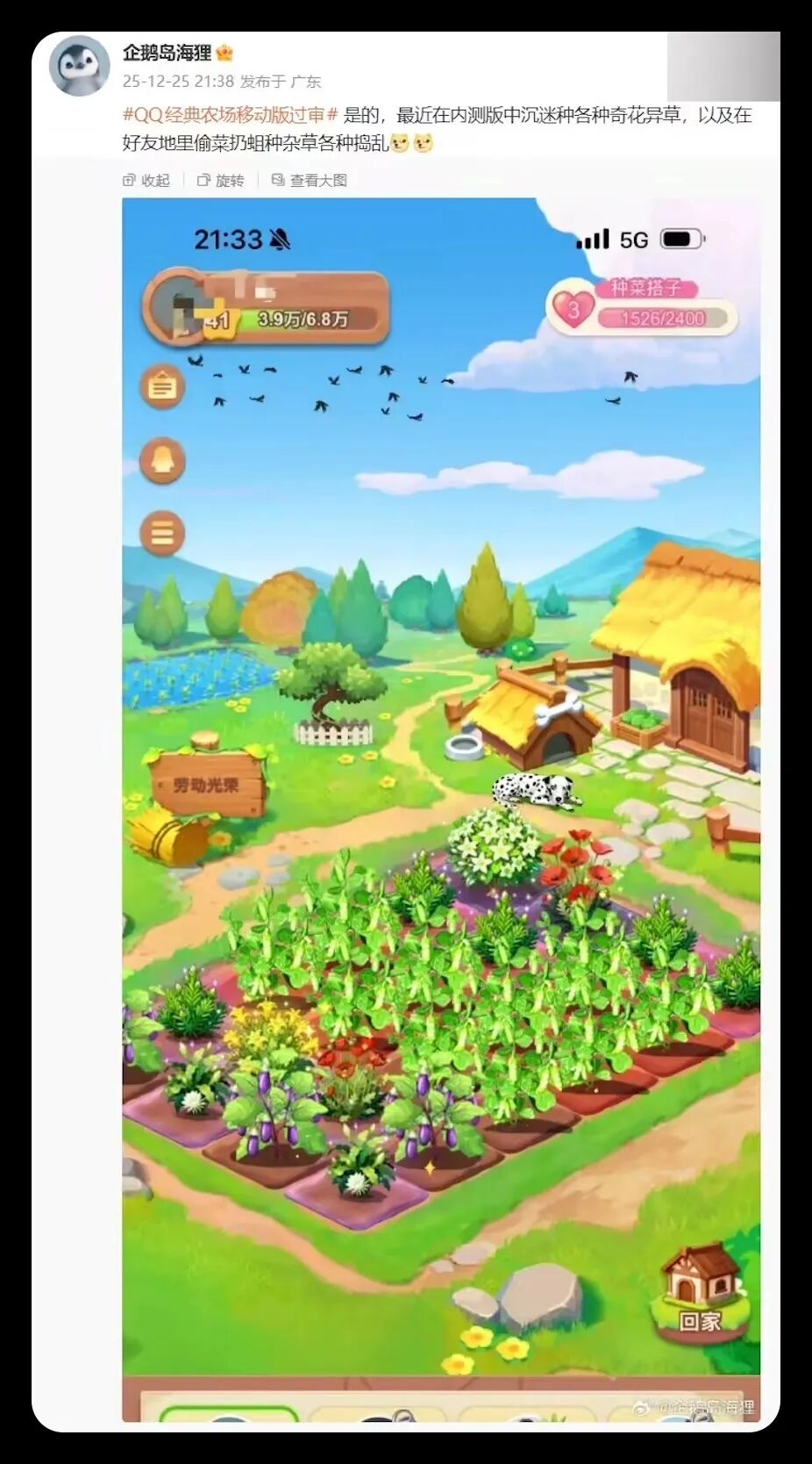 QQ农场怀旧情怀_QQ经典农场重启_kxw