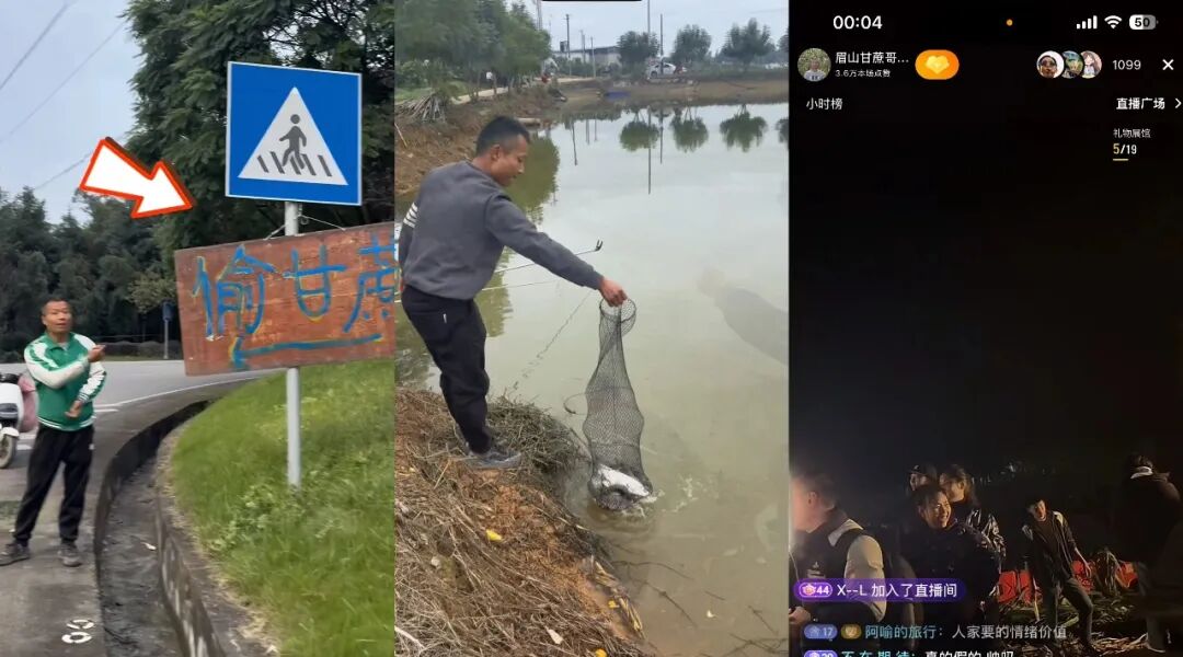 四川眉山偷甘蔗活动_9.9元偷甘蔗体验_kxw