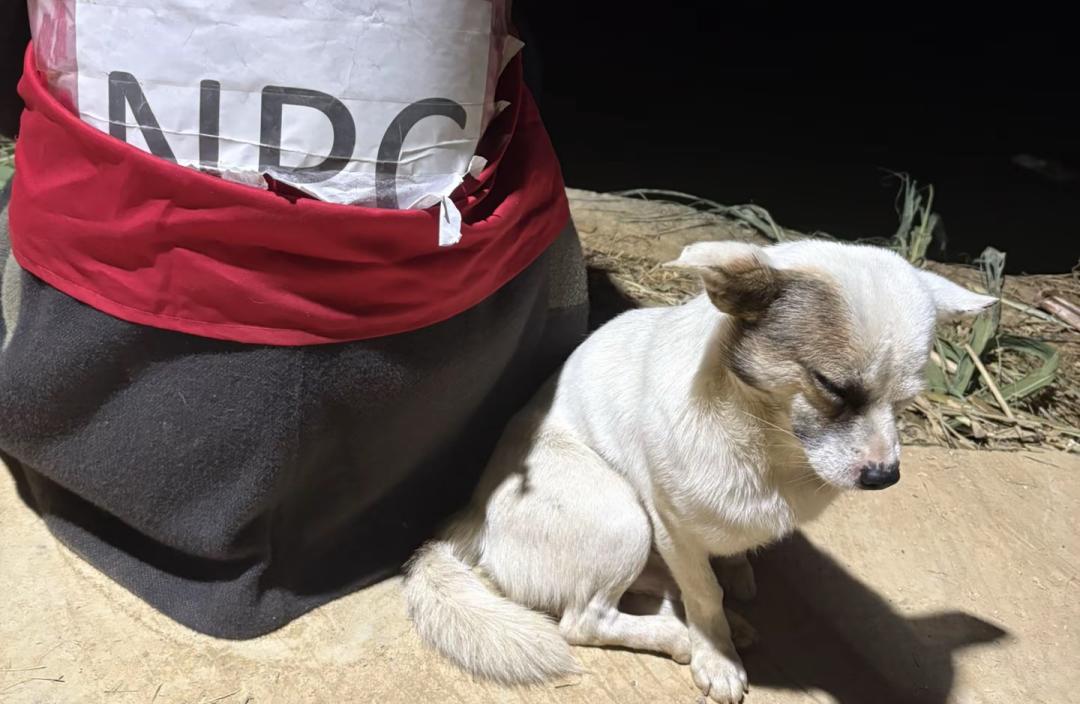 四川眉山偷甘蔗活动_kxw_9.9元偷甘蔗体验