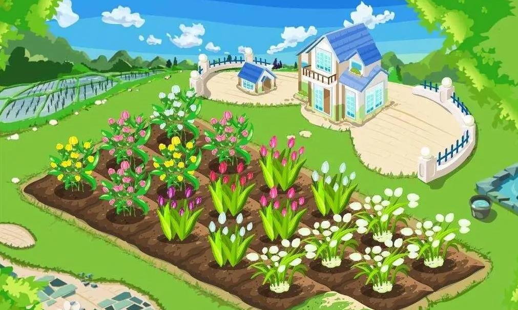 四川眉山偷甘蔗活动_9.9元偷甘蔗体验_kxw