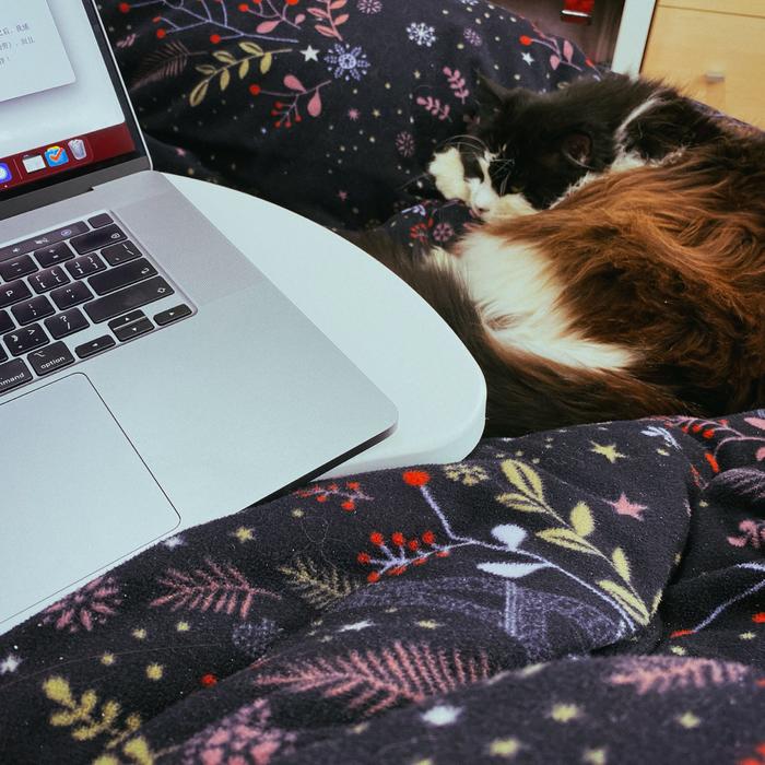 游戏新闻app_触乐问触乐策划_触乐问触乐栏目