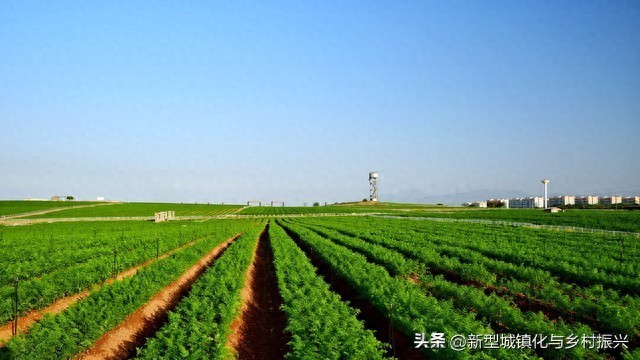 pg下载 中国农业合作社（1）起源、发展现状与政策支持