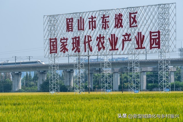 合作社的成员往来_中国农业合作社发展历程_农业合作社类型及功能