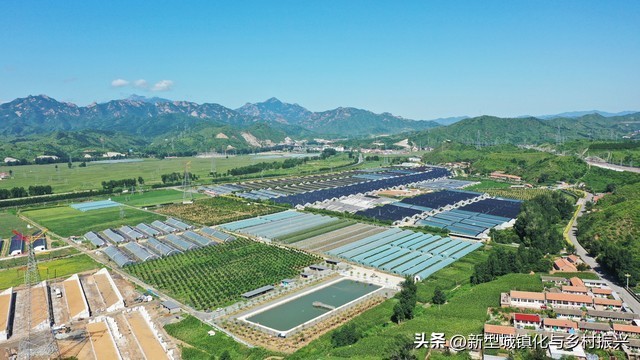 中国农业合作社发展历程_农业合作社类型及功能_合作社的成员往来