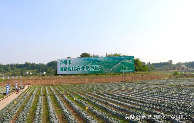 中国农业合作社发展历程_合作社的成员往来_农业合作社类型及功能