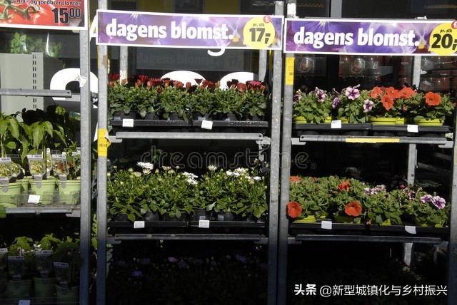 合作社的成员往来_农业合作社类型及功能_中国农业合作社发展历程