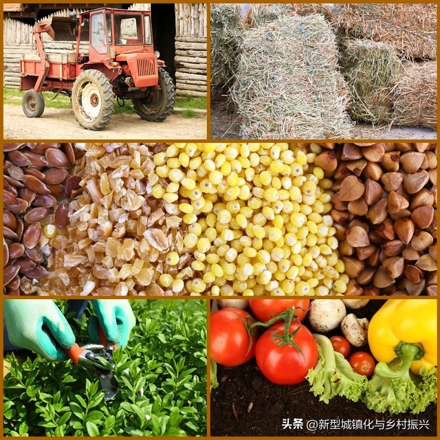 农业合作社类型及功能_合作社的成员往来_中国农业合作社发展历程