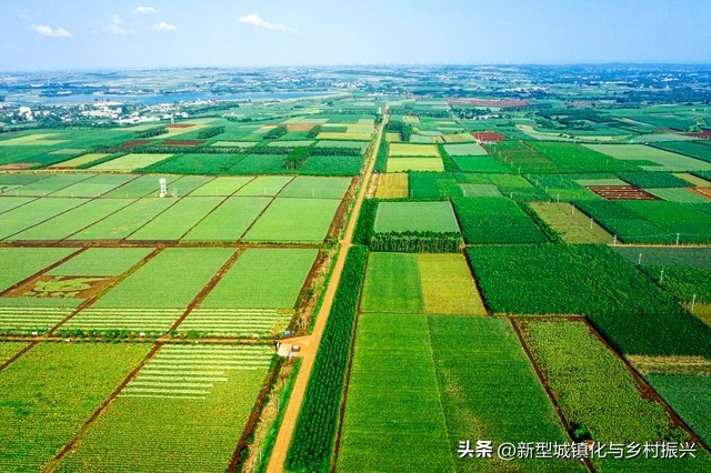 合作社的成员往来_农业合作社类型及功能_中国农业合作社发展历程