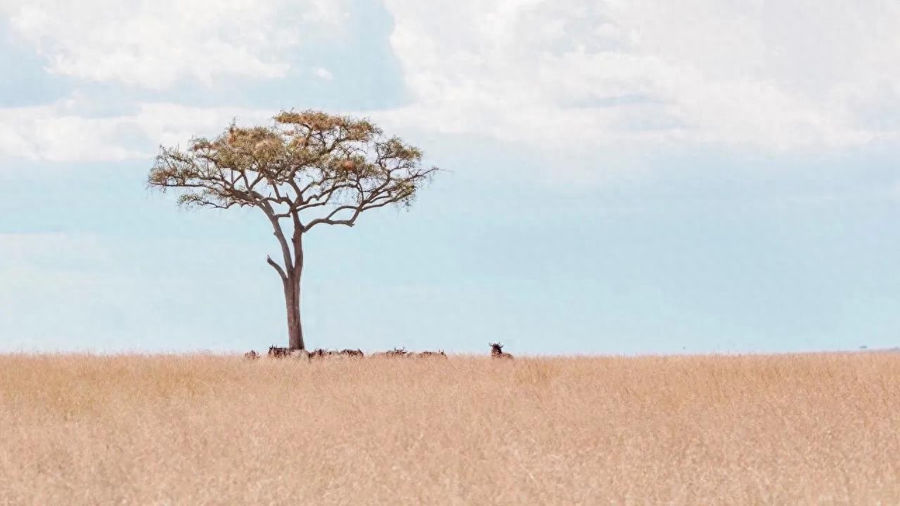 pg下载渠道 9个逆向思维小故事（幽默精辟）