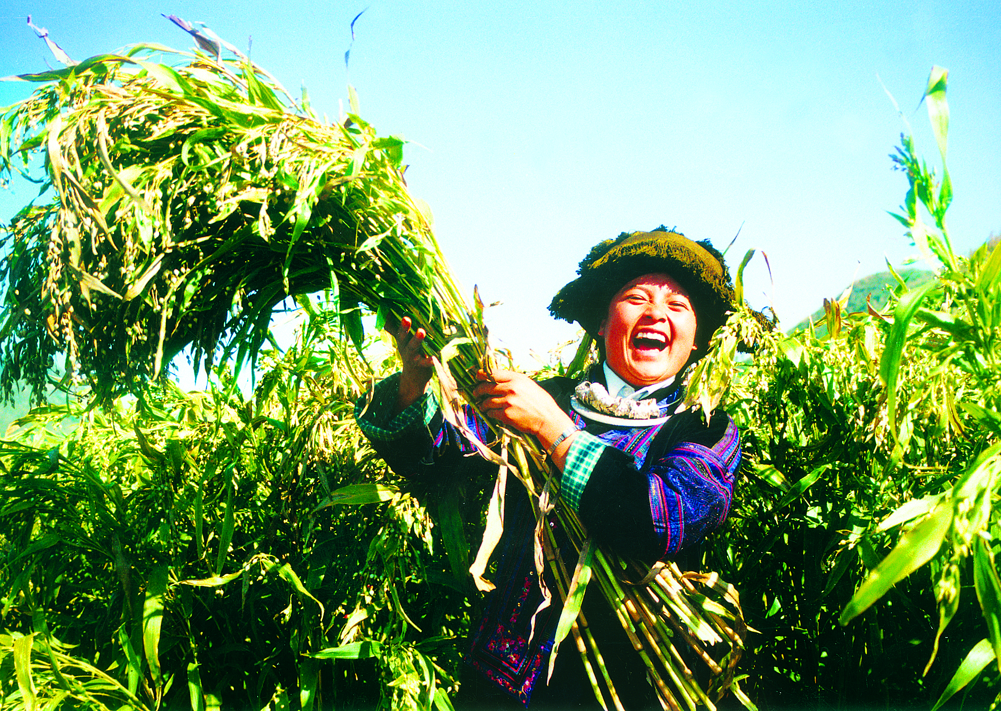 pg下载 惠黔力推产业集群化发展 两年实施特色产业提升项目60个