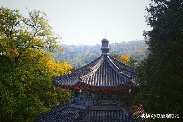 pg下载 蔡格尼克效应：人这一生，别被“未完成”困住