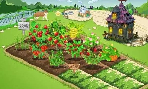 我要开心网_人人网开心网网际快车千千静听衰落原因分析_互联网老产品兴衰史