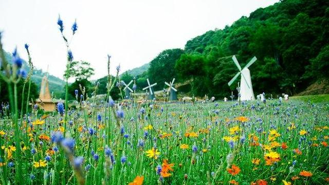 pg下载赏金下载 最近抖音上很火的一句话，句句经典入心！