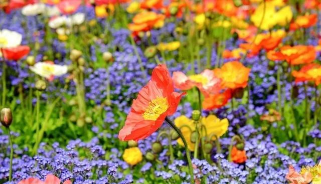 幸福简单满足_什么是人脉 句句经典_人生境界差距