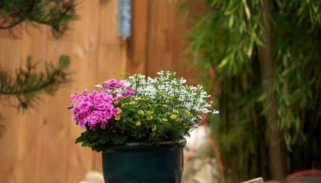 什么是人脉 句句经典_人生境界差距_幸福简单满足