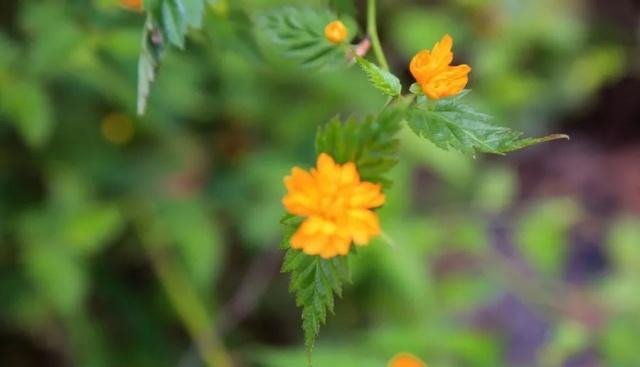 什么是人脉 句句经典_人生境界差距_幸福简单满足