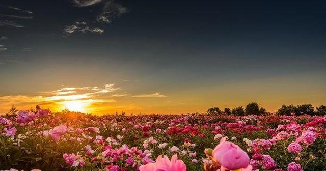 人生境界差距_幸福简单满足_什么是人脉 句句经典