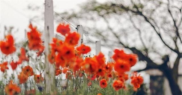 什么是人脉 句句经典_人生境界差距_幸福简单满足