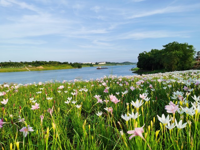 无线充电技术发展现状_无线电能传输的生活应用_特斯拉全球无线供电梦