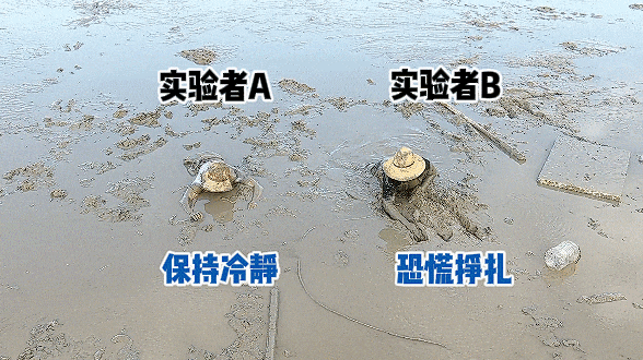 非牛顿流体特性_陷入淤泥自救方法_非牛顿流体生活应用