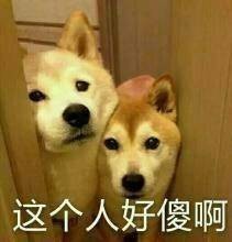 LOL手游情人节皮肤限时折扣_王者荣耀情人节纯白花嫁抽奖_游戏情人节新闻