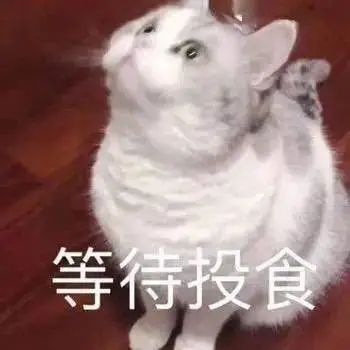 pg下载官方认证 床虱满地乱爬，多国爆发床虱危机，离你其实很近