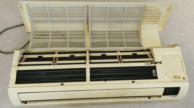 pg下载赏金下载 螨虫最怕的“天敌”并不是暴晒：房间里只需放个它，螨虫害怕的溜了