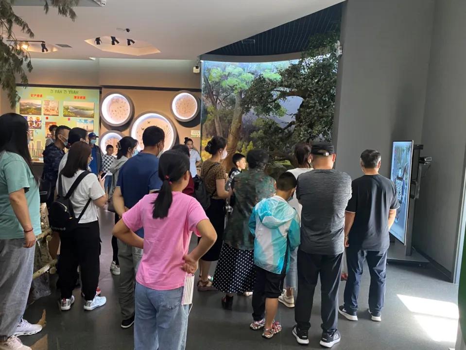 汤原县博物馆_文明旅游_汤原风情一条街