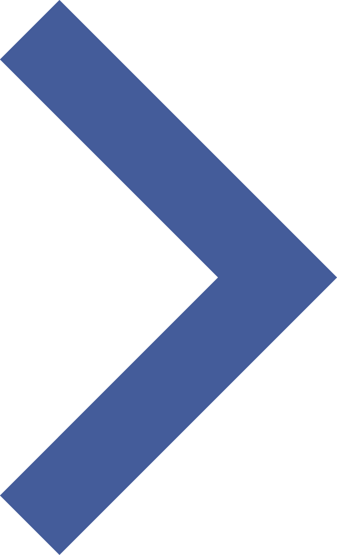 常见的家里小虫子图片_印鼠客蚤生活史_印鼠客蚤传播疾病