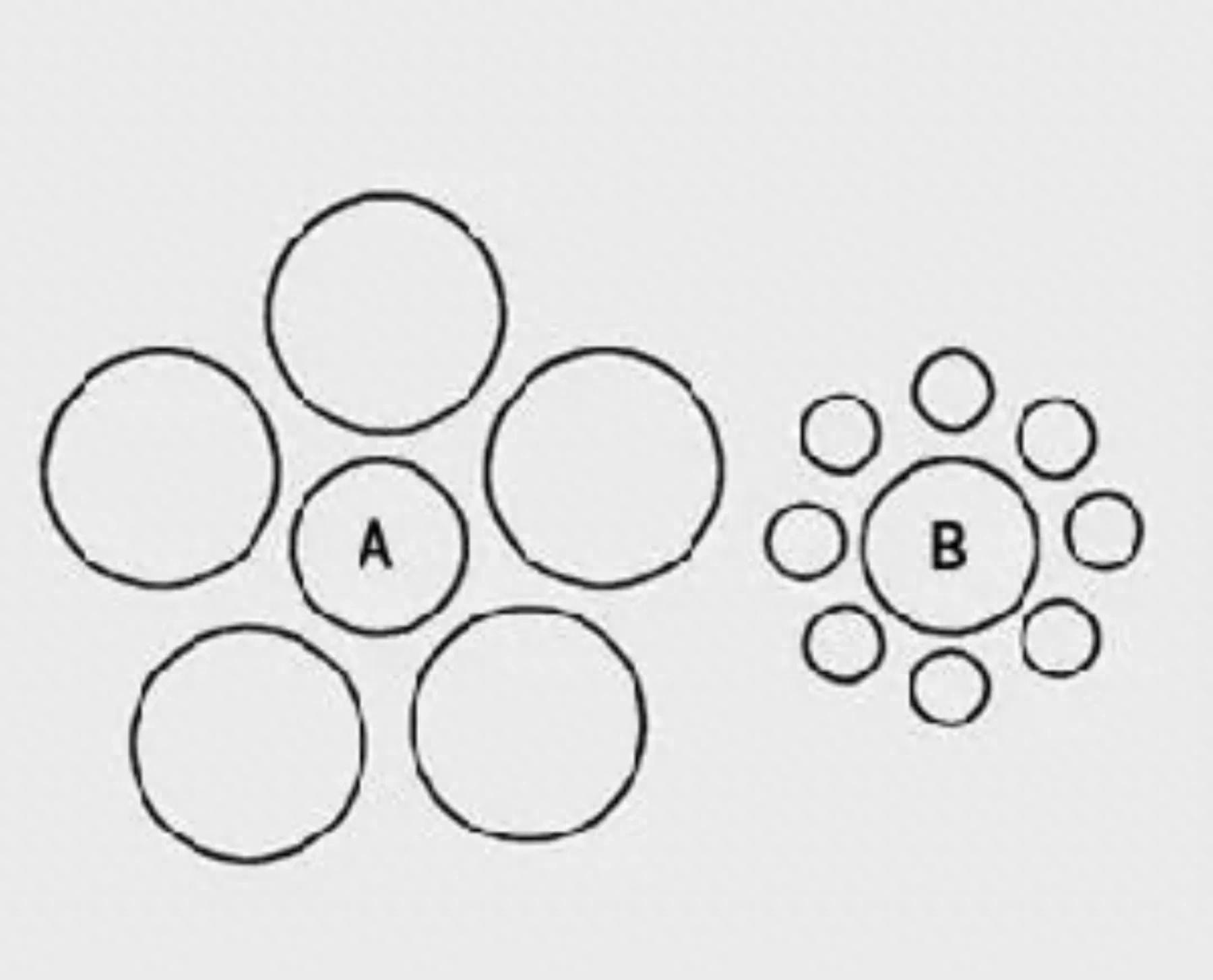 pg下载赏金下载 马老师的心理话之知觉的基本特性