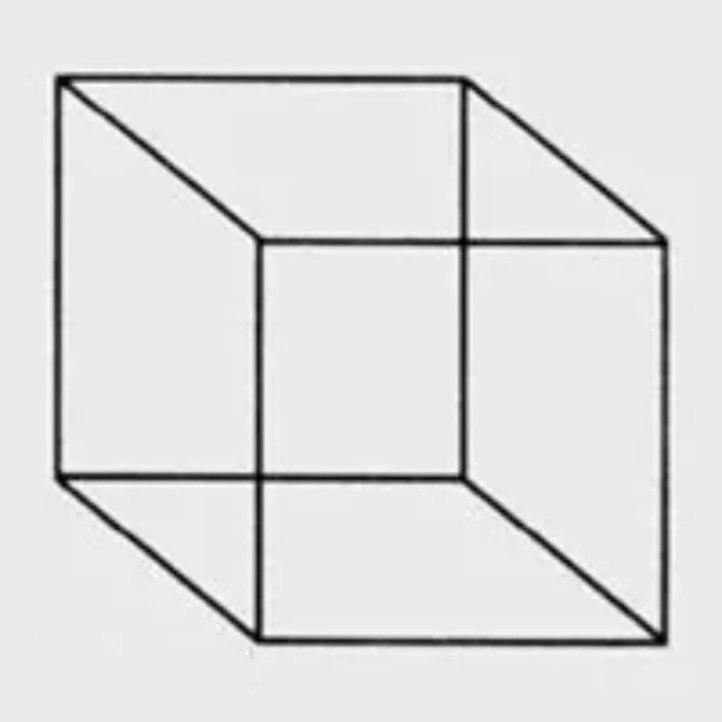 知觉相对性选择性整体性恒常性组织性_知觉的基本特征 生活应用