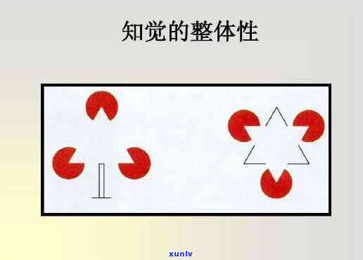 简述知觉的基本特征并举例说明，理解知觉：基本特征与实例解析